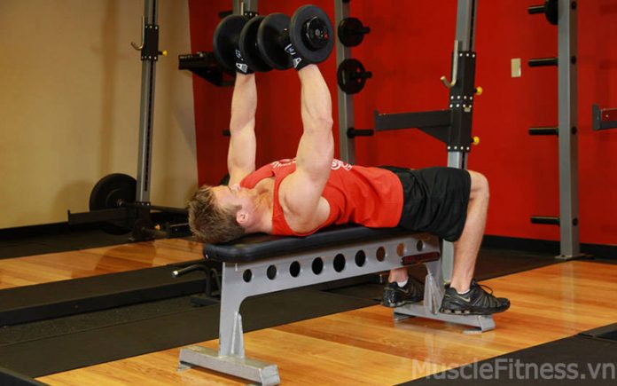 dumbbell bench press workout